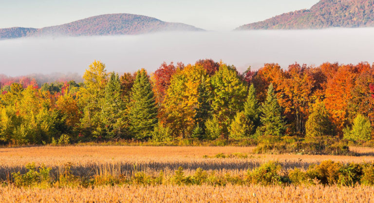 Québec : nos coins secrets pour admirer les couleurs de l’automne