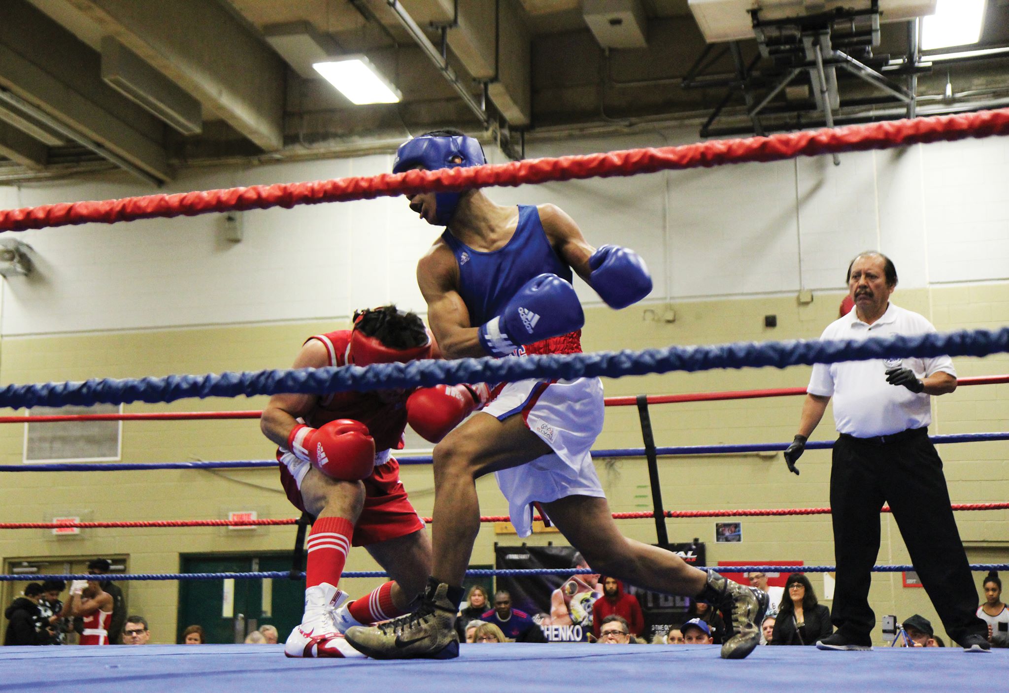Underdog Boxing Gym de Montréal une Française lui consacre un livre