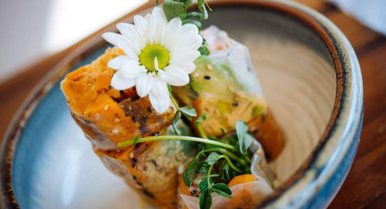 6 adresses pour manger végétarien à Montréal