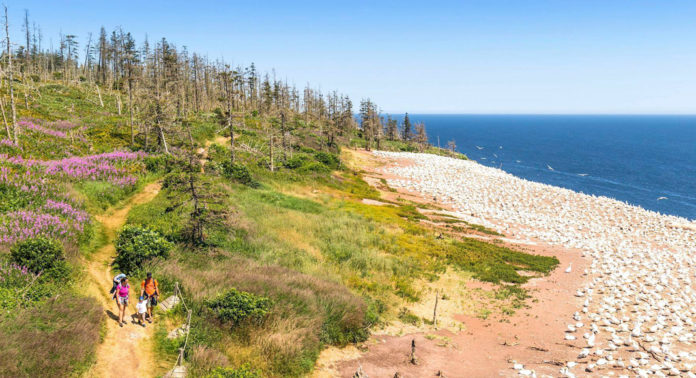 gaspesie