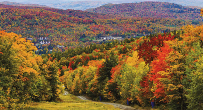 quebec_france_automne