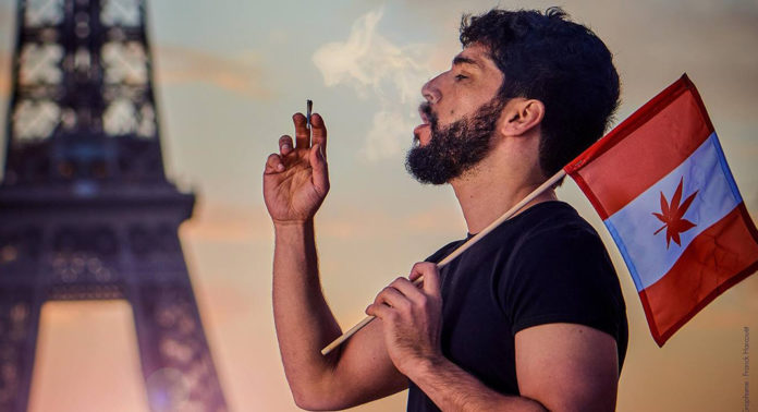 noman_hosni_cannabis_montreal