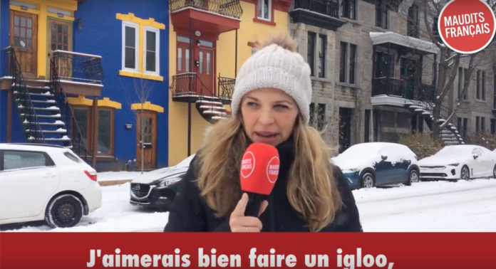 igloo_montreal