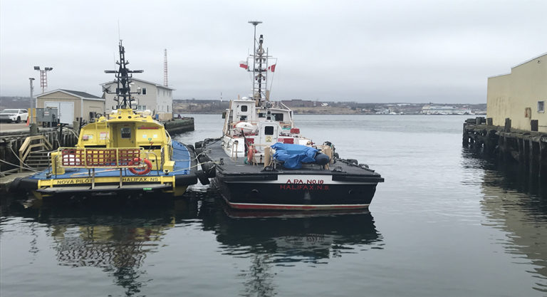 5 jours de road trip vers Halifax