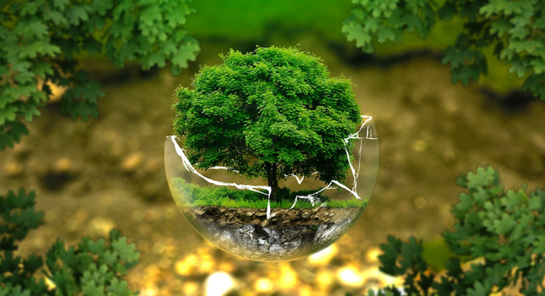 5 associations à rejoindre pour protéger l’environnement au Québec