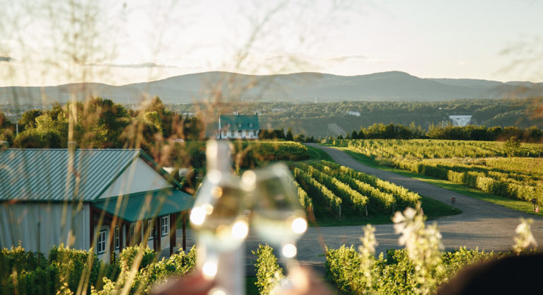 Guide : 5 vignobles québécois à explorer cet été