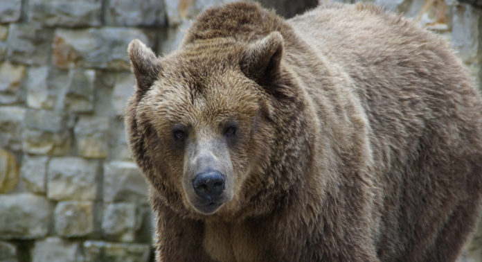 ours_canada