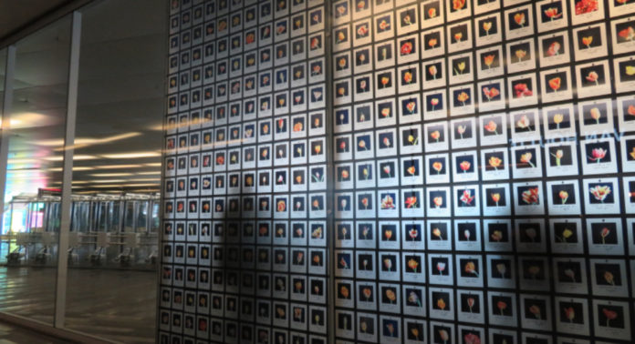 artsouterrain