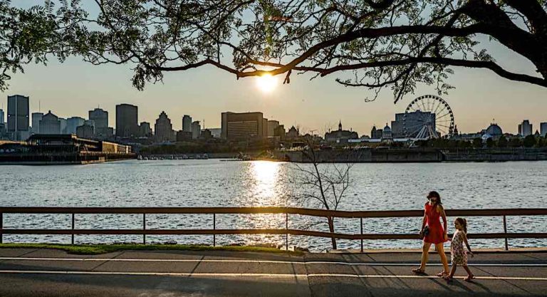 Un été déconfiné: les bons plans pour sortir à Montréal
