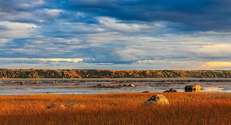 Road-trip littéraire à la découverte du Québec