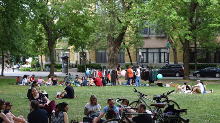 vide-dressing au parc laurier (crédit: carla geib)