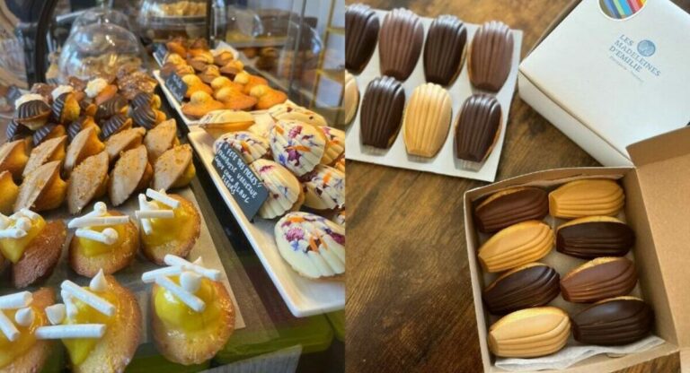 Couverture Les Madeleines d'Émilie